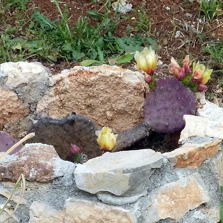 Palme Poreč
